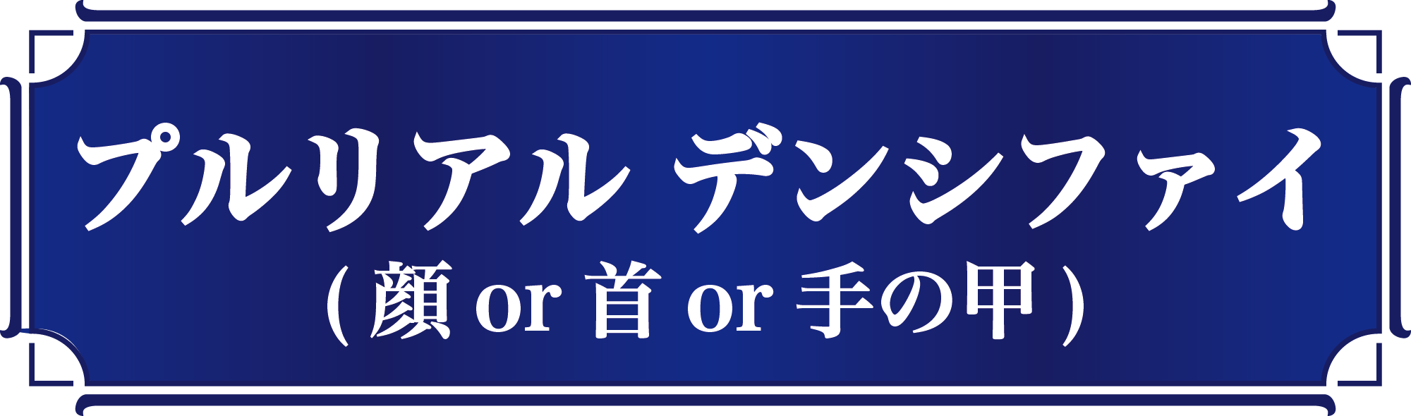 プルリアルデンシファイ1@2000x-8.png