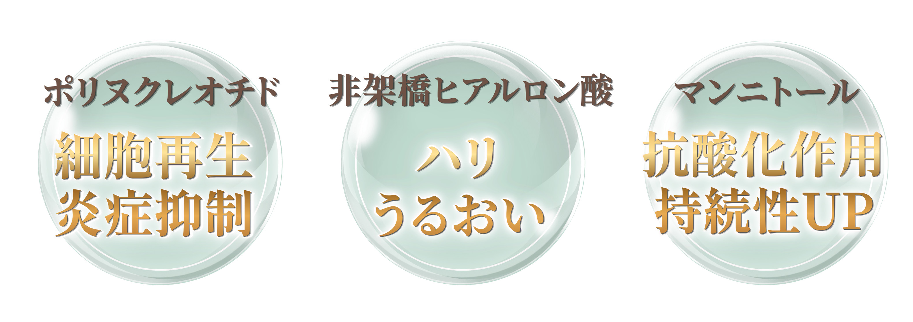 プルリアルデンシファイの成分.png