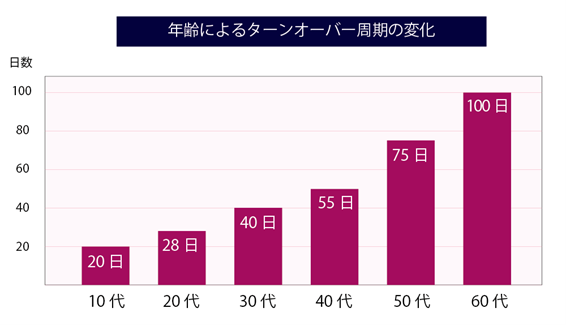 ターンオーバ周期の変化.png